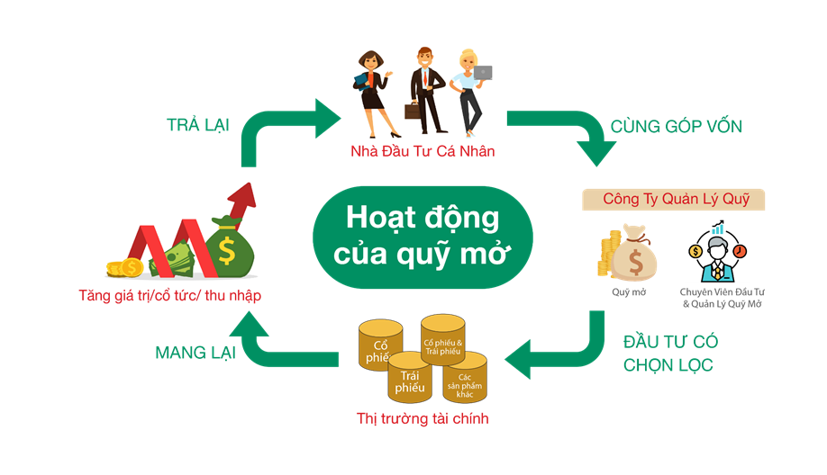 Quỹ mở là gì? Cách đầu tư cho người mới bắt đầu